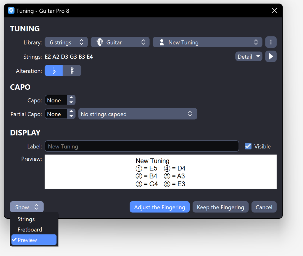 Setting musical notation parameters in Guitar Pro